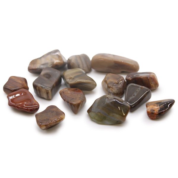 Petrified Wood Gemstones 24x M Tumble Stones