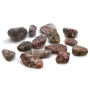 Leopard Skin Gemstones 24x M Tumble Stones