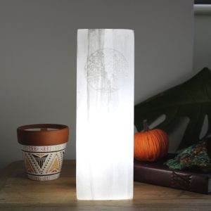 Selenite Block Lamp 25cm - Tree of Life