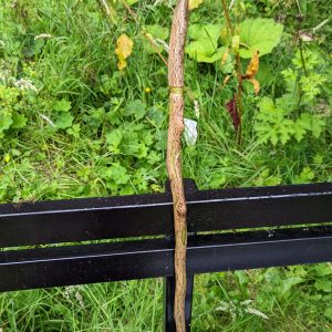 Unique Wizard, Witch, Wiccan, Pagan Spell Casting Wand